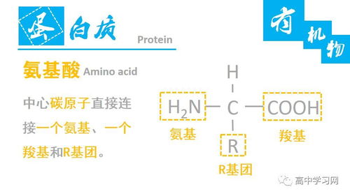 高中生物中的無(wú)機(jī)物和有機(jī)物基礎(chǔ)知識(shí)梳理